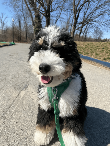 Tiffany B. on Google